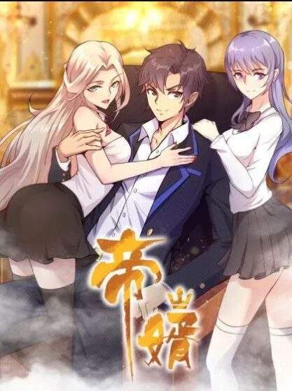 Emperor Son In Law Emperor Son In Law