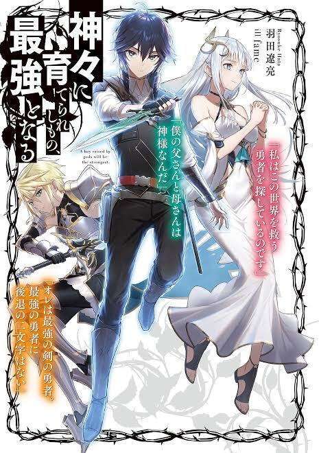 Kamigami ni Sodaterare Shimo no, Saikyou to Naru Kamigami ni Sodaterare Shimo no, Saikyou to Naru