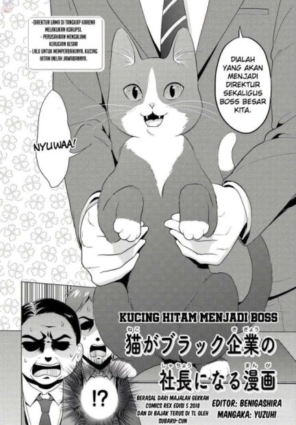 The Black Cat Who Became The Director Baca Komik The Black Cat Who Became The Director